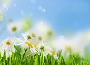 生徒さんがしっかりと習得するまでの道のり