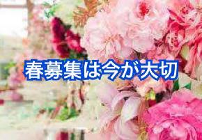 春募集の準備は今が大切